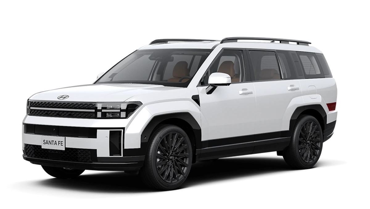 Hyundai Santafe Bắc Giang